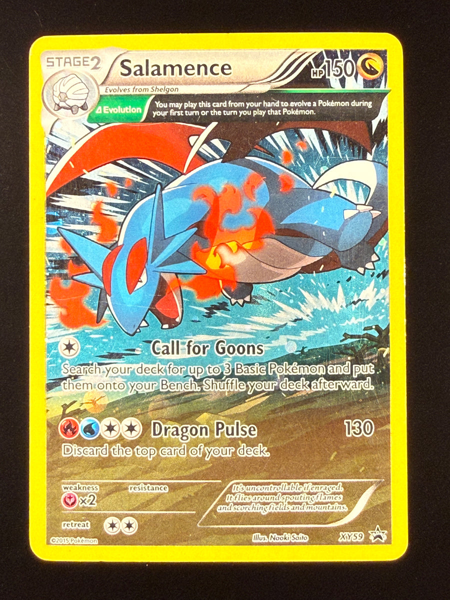 Salamence Holo