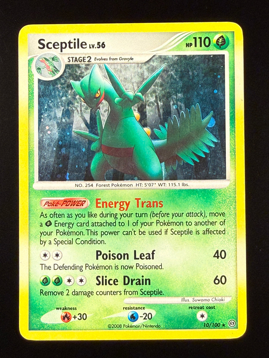 Sceptile lv.56 holo